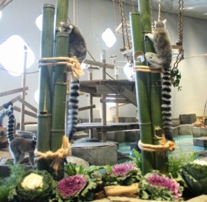 -NIFREL-　生きものたちへお正月装飾をプレゼント